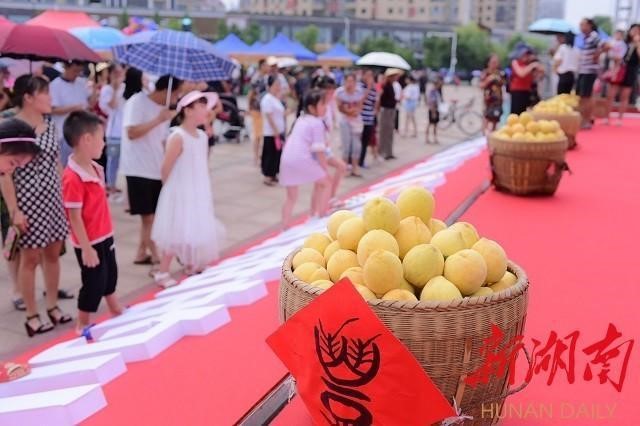 洪江市禹甜科技有限公司,黔陽(yáng)瞐農產(chǎn)品的批發(fā)零售 洪江市禹甜科技有限公司,黔陽(yáng)瞐農產(chǎn)品的批發(fā)零售